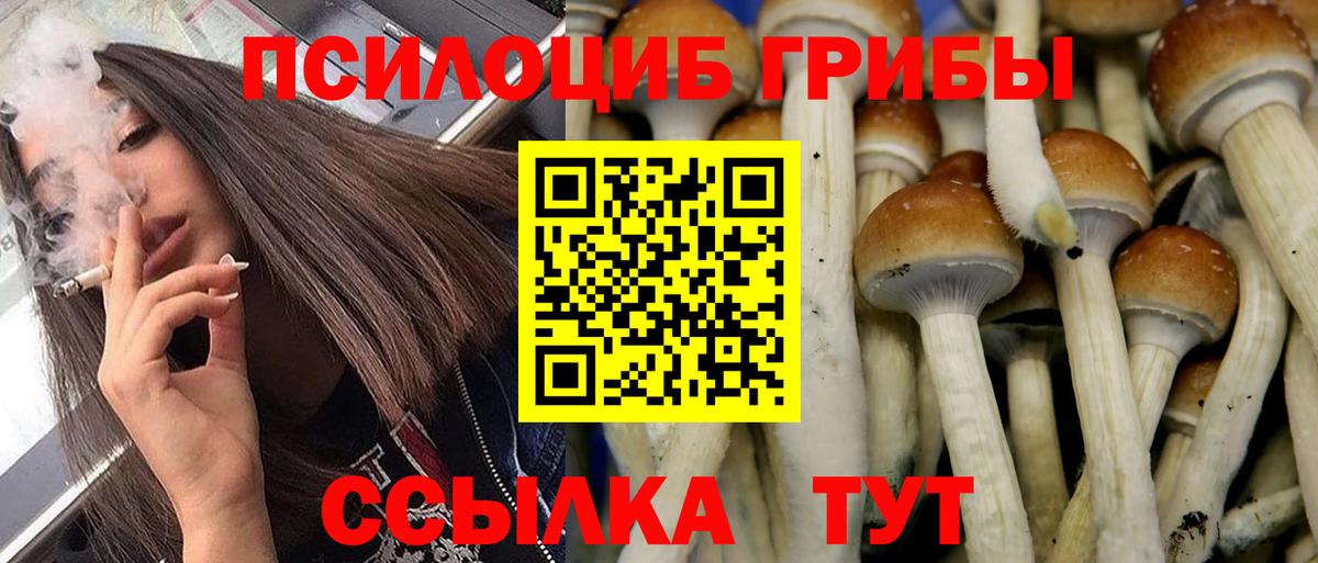 Галлюциногенные грибы Cubensis  Вход с VPN  где купить наркоту  Нарткала 