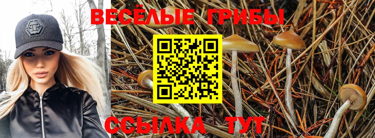 Галлюциногенные грибы GOLDEN TEACHER Нарткала